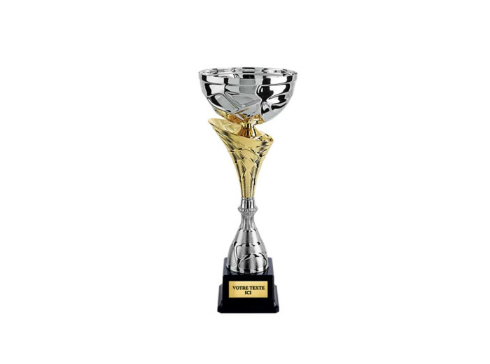 Coupe class arg/or h 40 cm d 180 mm