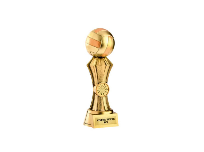Trophee resine discipline or volley