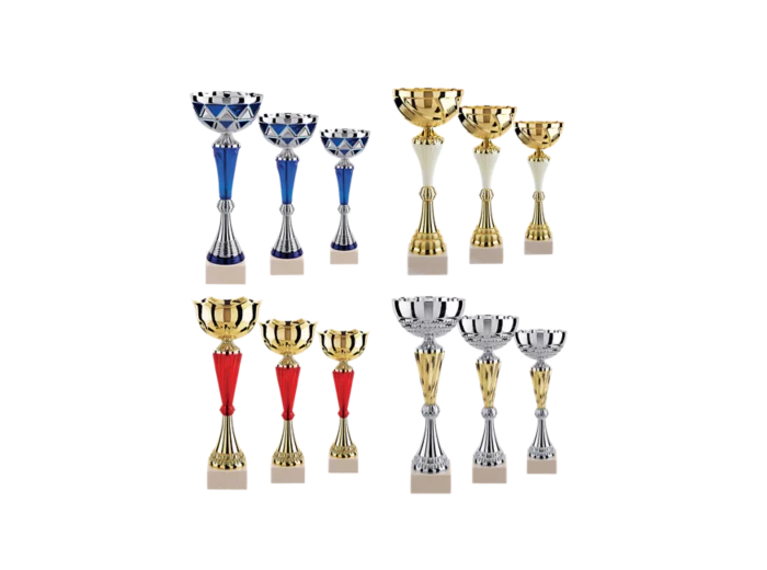 Lot de 12 coupes 2023 h moy 34,6cm