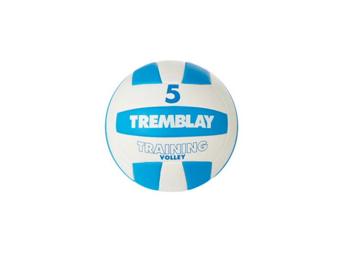 Ballon volley training volley taille 5