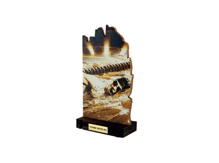 Trophee bois natation h 22 cm