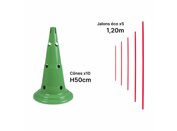 Kit mini-haies 50 cm