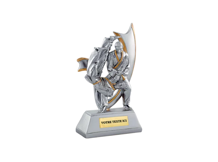 Trophee resine judo h. 18 cm