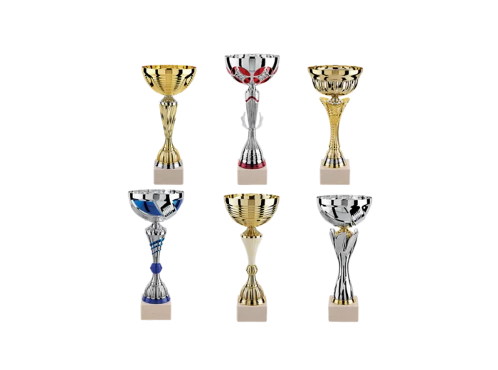Lot de 6 coupes 2023 h moy 35,80cm