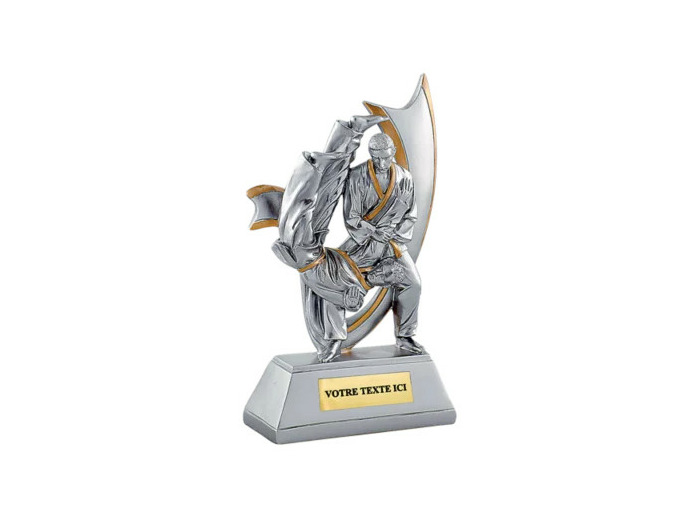 Trophee resine judo h. 18 cm
