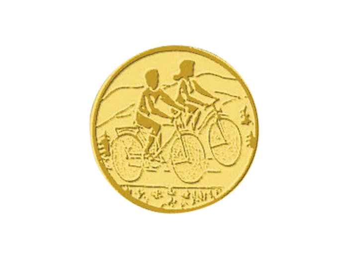 Pb 30 cyclotourisme alu 25mm