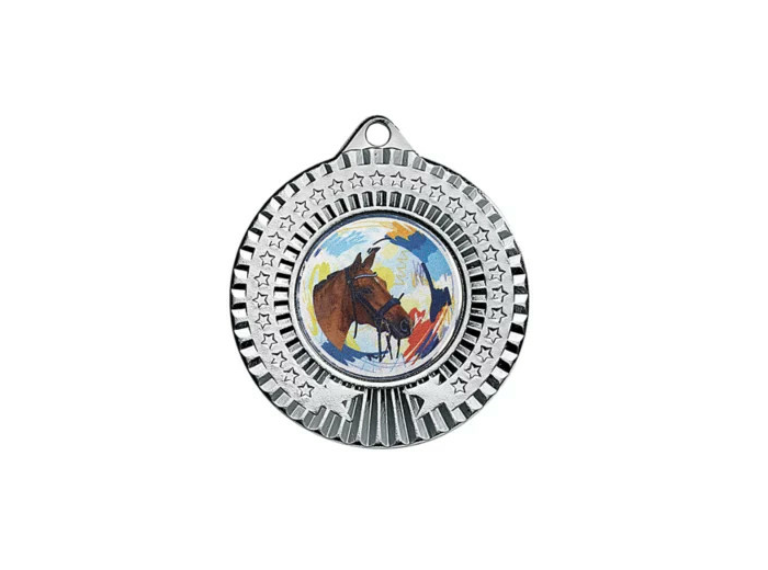 Medaille fer diam45mm argent