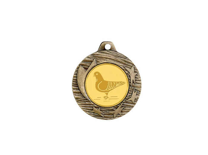 Medaille fer 40mm bronze