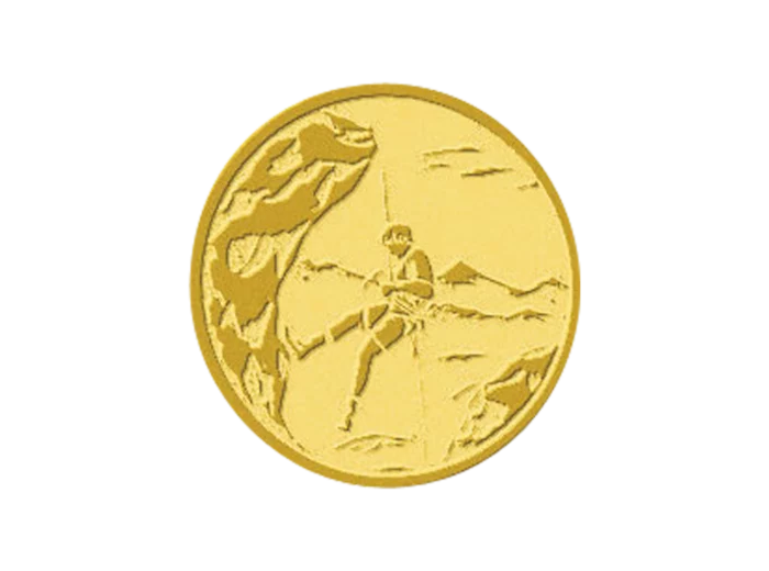 Pb 119 escalade alu 25mm