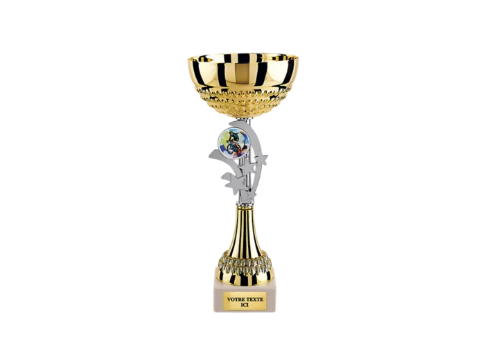 Coupe eco or/arg h 28 cm d 120 mm