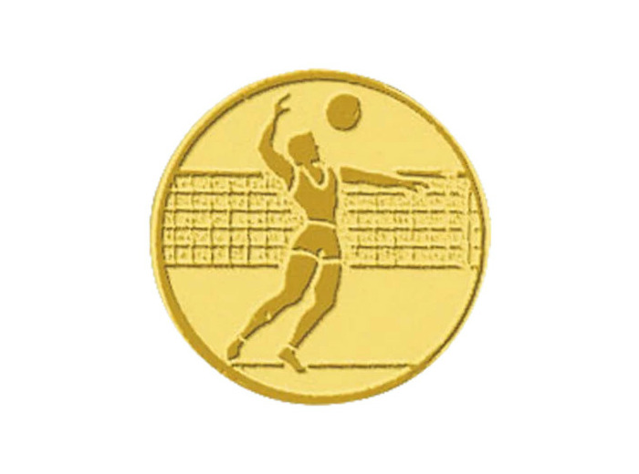 Pb 104 volley homme alu 25mm