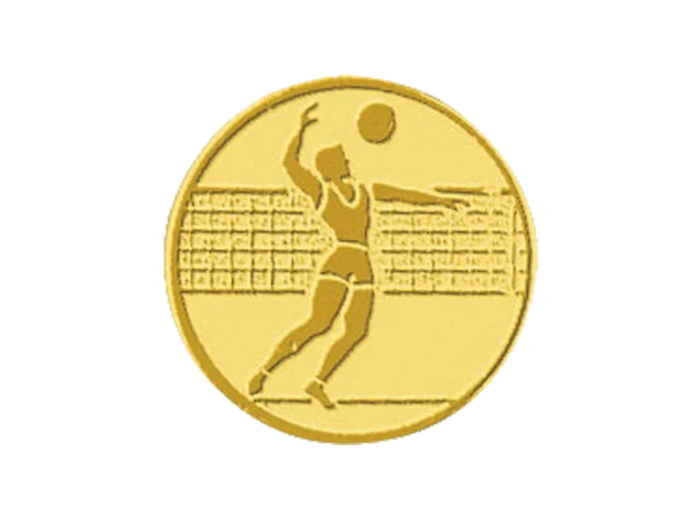 Pb 104 volley homme alu 25mm