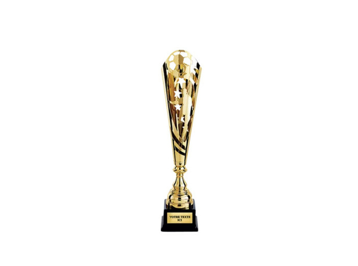Coupe discipline or h 48 cm