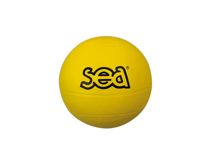 Ballon multisport