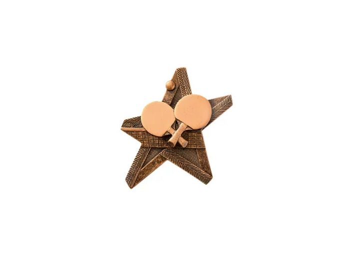 Applique resine etoile equitation h