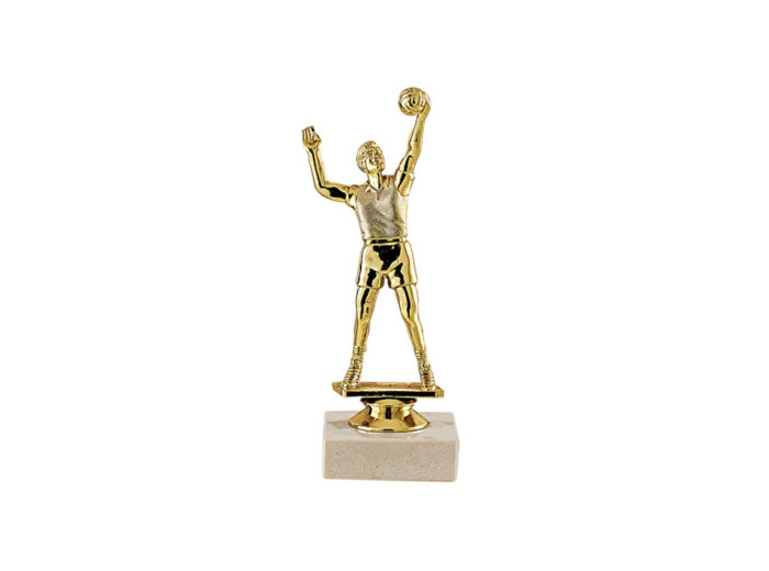 Trophee sujet plas or volley h 17cm