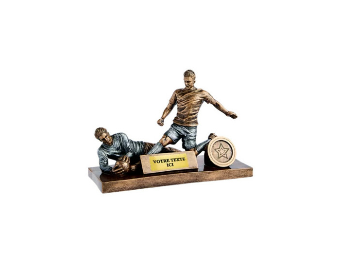 Trophee resine discipline argent/br