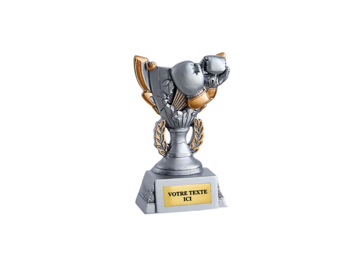 Trophee resine discip sp de combat h11cm