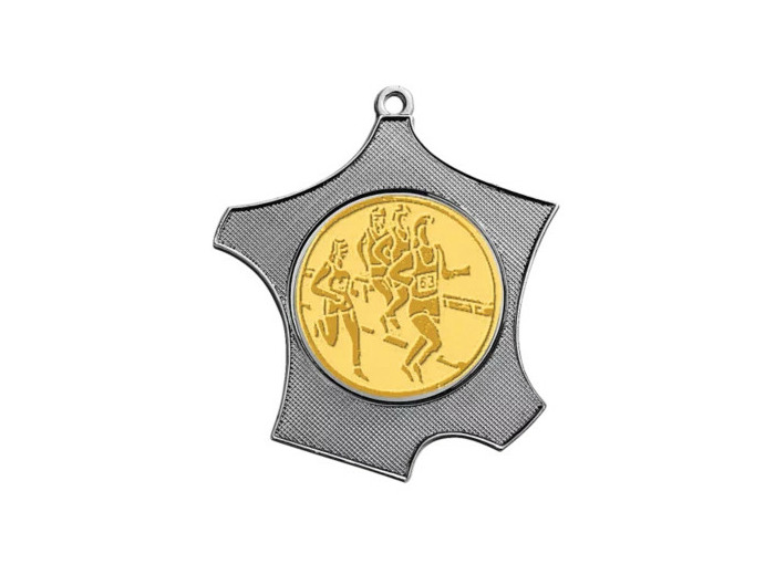 Medaille zamak carte de fr 80x87mm