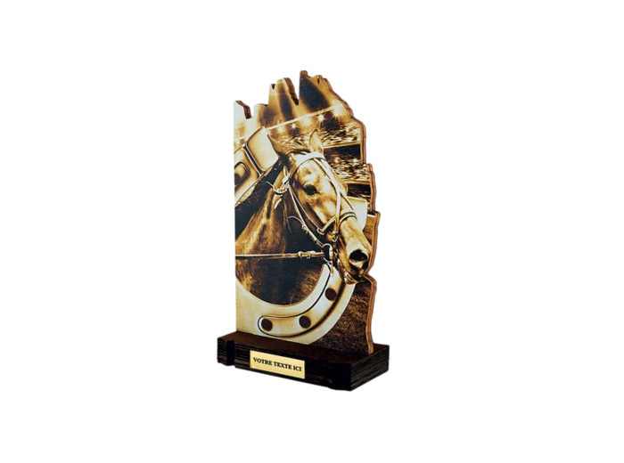 Trophee bois equitation h 22 cm