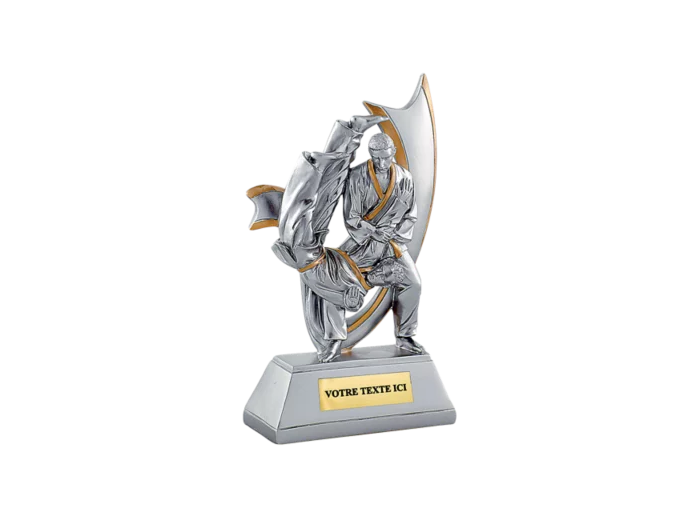 Trophee resine judo h. 15 cm