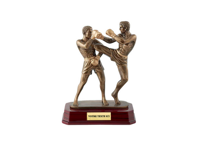 Trophee resine kickboxing h. 24 cm