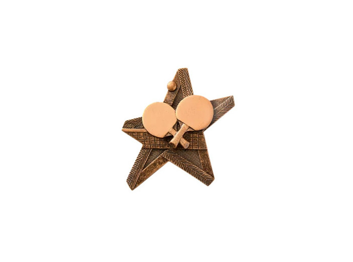 Applique resine etoile equitation h
