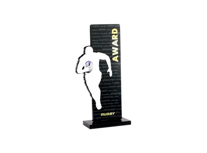 Trophee acrylique personnalisable n