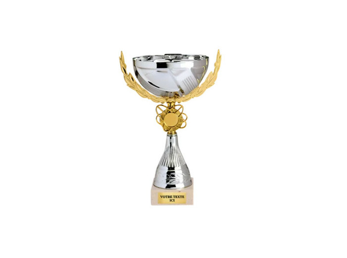 Coupe classique argent/or hauteur 2