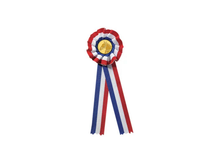 Rosette bleu/blanc/ro h.17cm-60mm