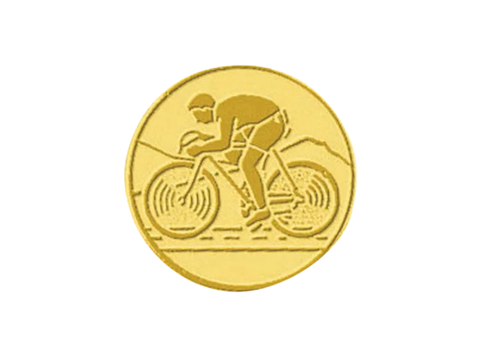 Pb 29 cyclisme alu 25mm