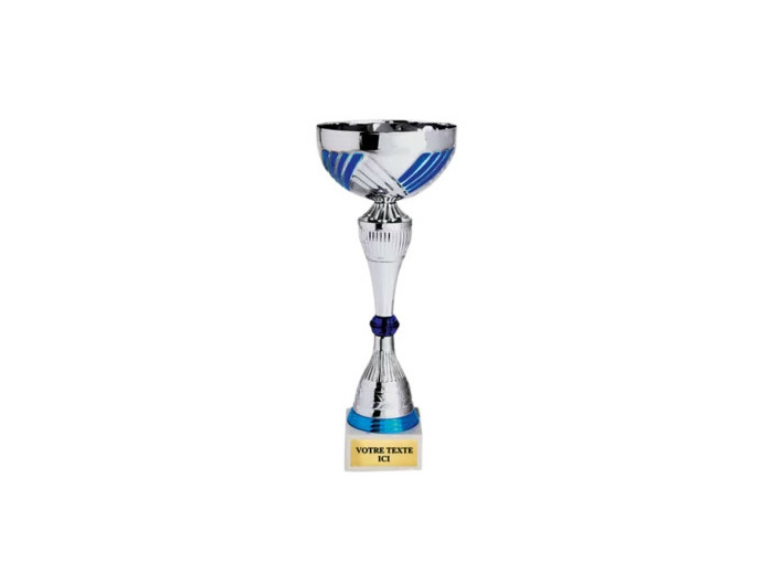 Coupe classique argent/bleu(e) haut