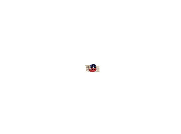 Rosette courage et devouement-or