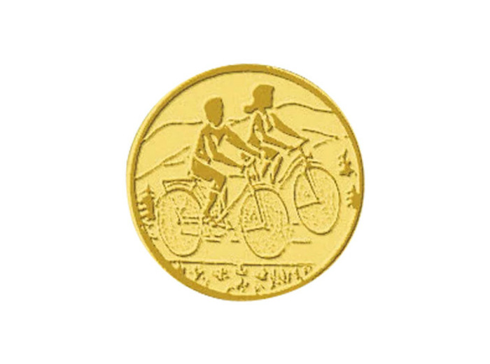 Pb 30 cyclotourisme alu 25mm