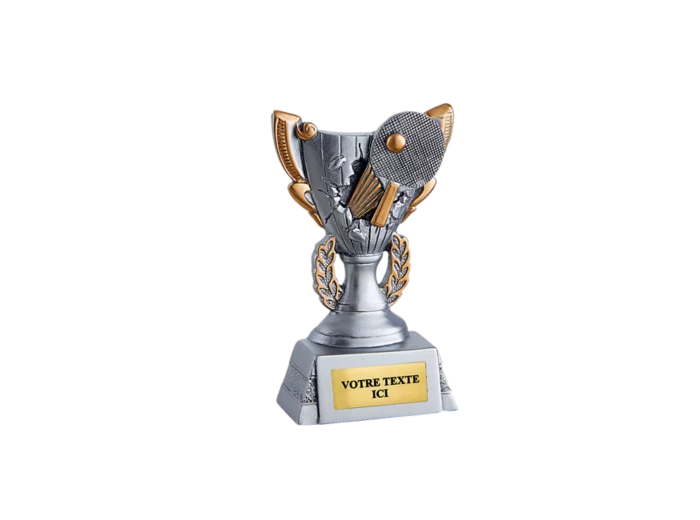 Trophee trophee resine discip tdt h 11 cm