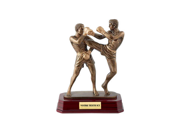 Trophee resine kickboxing h. 24 cm
