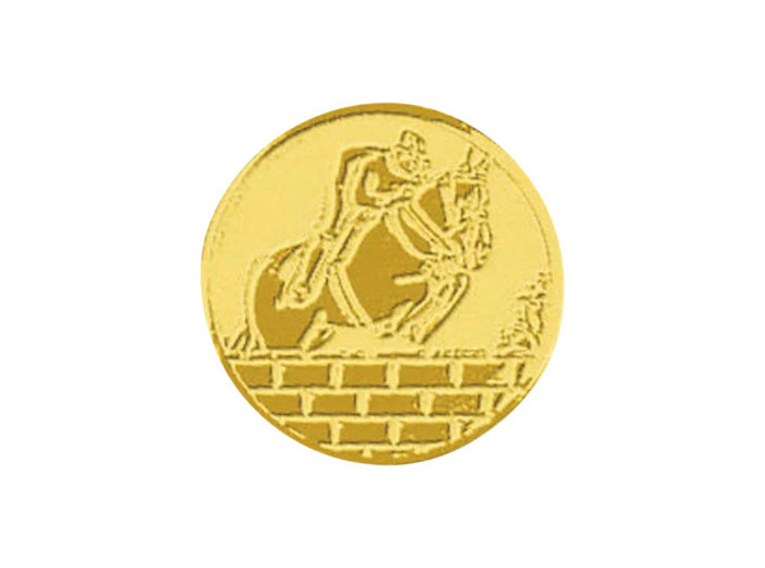 Pb 37 equitation alu 25mm
