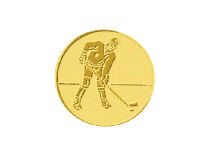 Pb 53 hockey glace alu 25mm