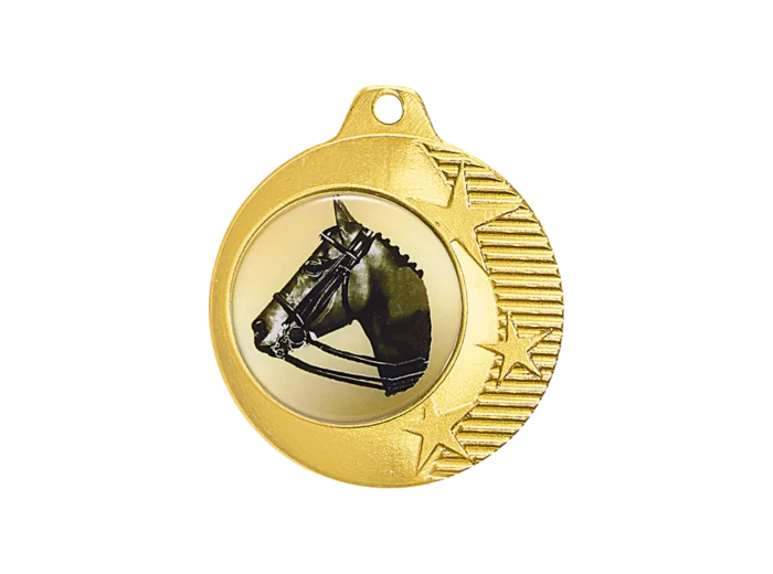 Medaille fer 40mm or