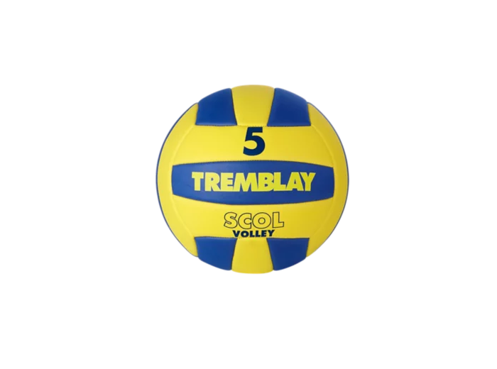 Ballon volley  scolaire taille 5
