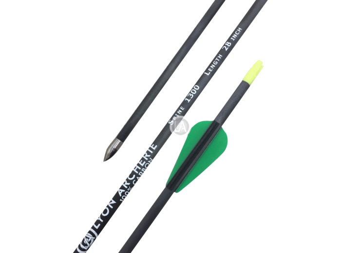 Lot de 6 fleches carbone spine 1500