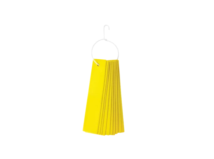 Rectangle avec suspension-lot de