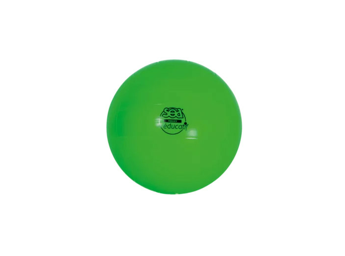 Ballon de volley educatif sea