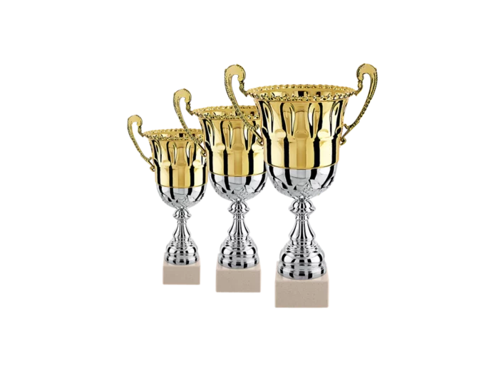 Lot de 3 coupes 2023 h moy 35,3cm