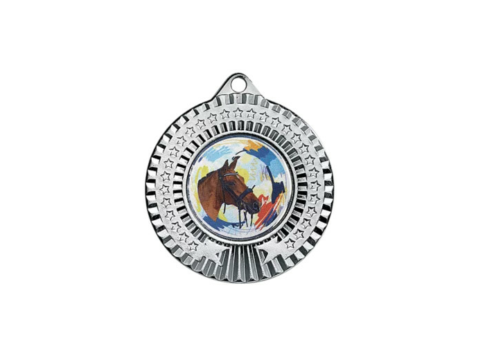 Medaille fer diam45mm argent