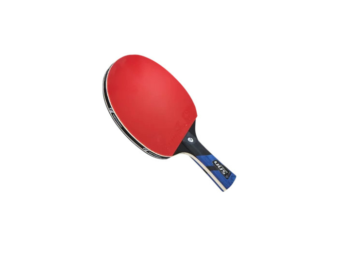 Raquette de ping pong perform 500