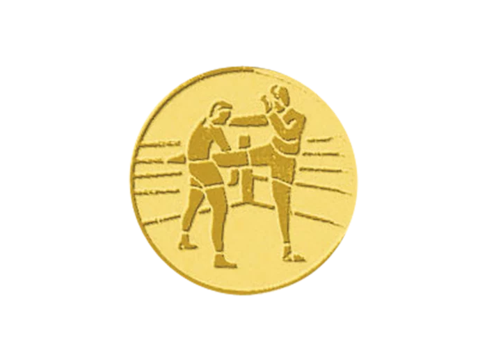 Pb 17 boxe francaise alu 25mm