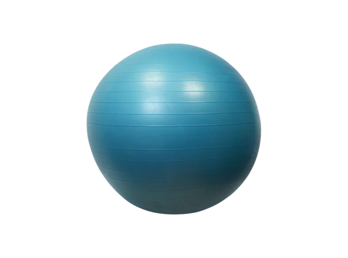 Gymball/balle gymnique 65cm