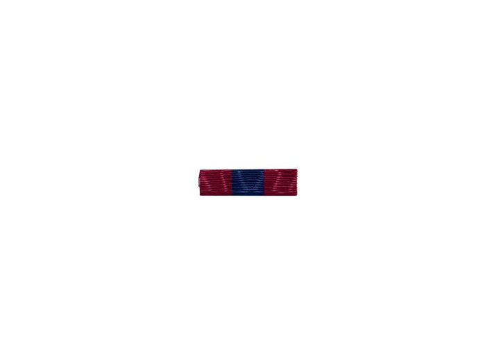 Dixmude defense nationale-bronze