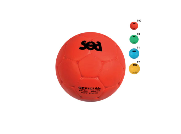 Ballon school composite sea